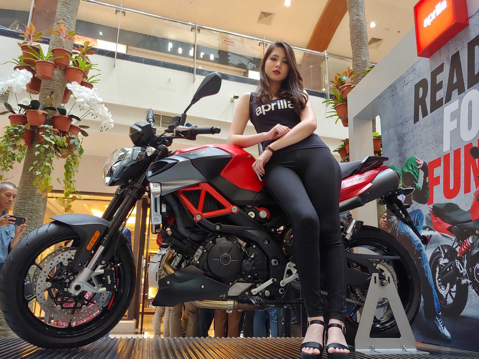 Aprilia Shiver 900 (Rian) - Image