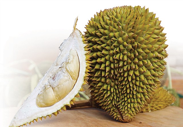 Buah durian bajul. (Alfian Rizal/Jawa Pos) - Image