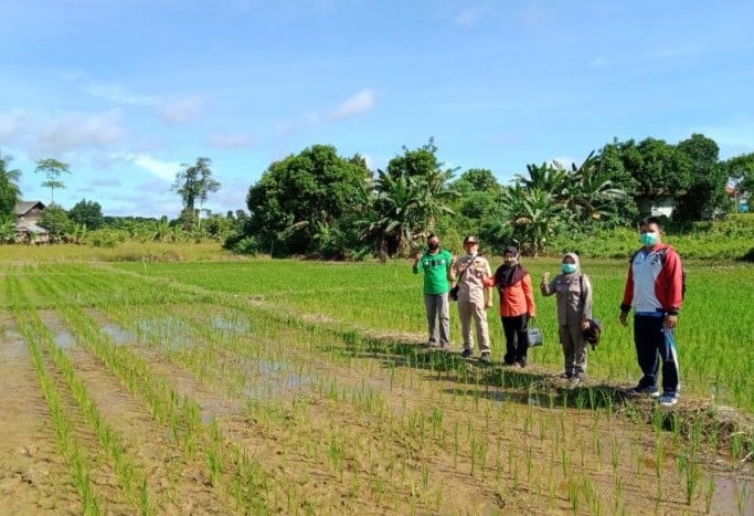 Kabupaten Malinau dicanangkan menjadi daerah penyuplai kebutuhan pangan untuk Ibu Kota Negara (IKN) yang baru di Kalimantan Timur. Dokumen Karantina Pertanian Tarakan/Antara - Image