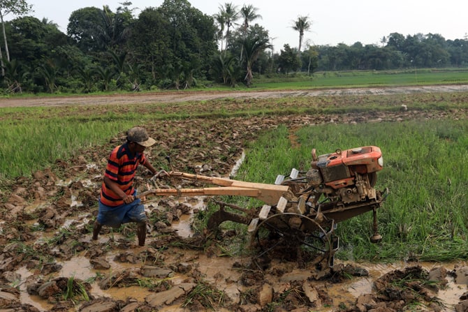 Petani saat membajak sawah di kawasan Parung Panjang, Bogor, Jawa Barat, Senin (20/7/2020). Kementerian Desa, Pembangunan Daerah Tertinggal, dan Transmigrasi (Kemendes PDTT) berupaya mengantisipasi krisis pangan akibat pandemi virus corona atau COVID-19, - Image