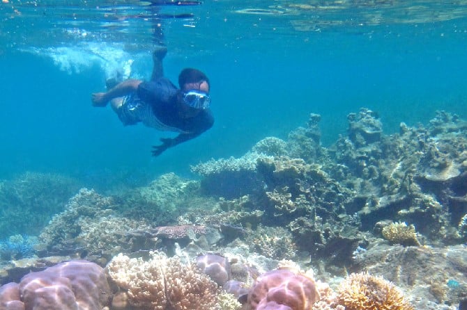 PESONA KELAS DUNIA: Snorkeling menjadi aktivitas favorit wisatawan lokal dan mancanegara saat berkunjung ke Pulau Bawean. Guslan Gumilang/Jawa Pos - Image