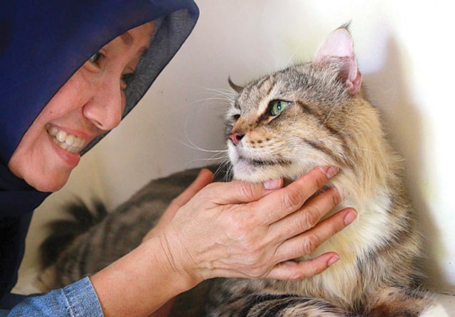 KESAYANGAN: Yanti bersama Zio. Anbul turunan mainecoon itu menjadi kucing berpostur terbesar kesayangan keluarga. (Robertus Risky/Jawa Pos) - Image