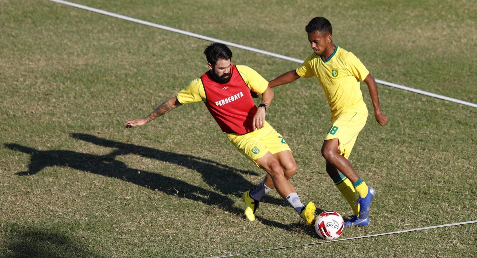 Photo - Image