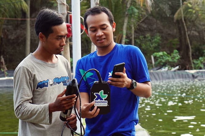 XL Smart Aquaculture sudah dipakai oleh sejumlah petani tambak ikan kerapu dan udang di Jawa Timur yang terbukti mampu meningkatkan produktivitas rata-rata sebesar 20 persen. - Image
