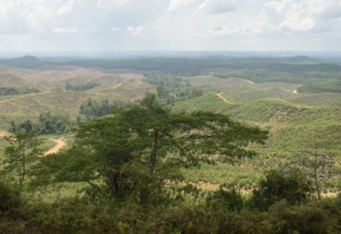 Lokasi ibu kota negara Indonesia yang baru di wilayah Kecamatan Sepaku, Kabupaten Penajam Paser Utara. Novi Abdi/Antara - Image