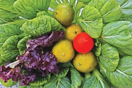 HASIL PANENI: Sayuran dan buah lemon di kebun milik Christine. (RIANA SETIAWAN/JAWA POS) - Image