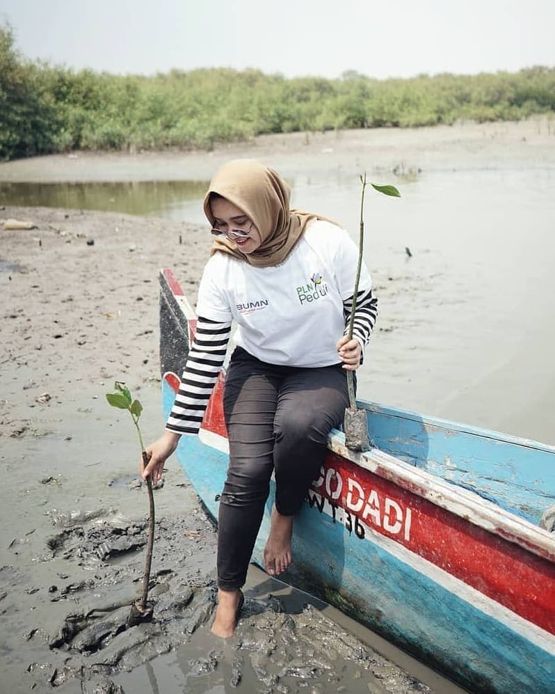 Photo - Image