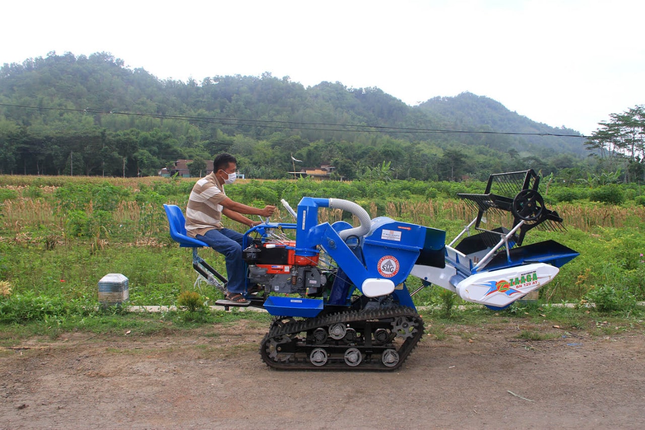 Photo - Image