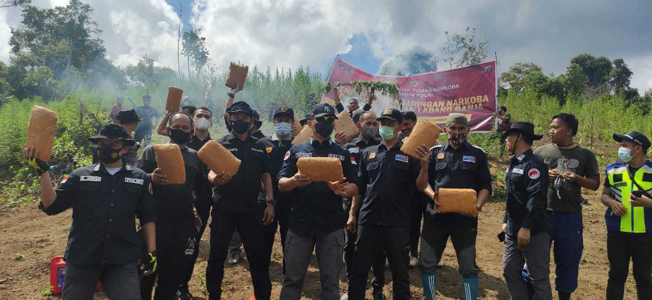 Tim Direktorat Tindak Pidana Narkoba Bareskrim Polri gagalkan rencana pengiriman ganja jaringan lapas di Sumbar -(Istimewa) - Image