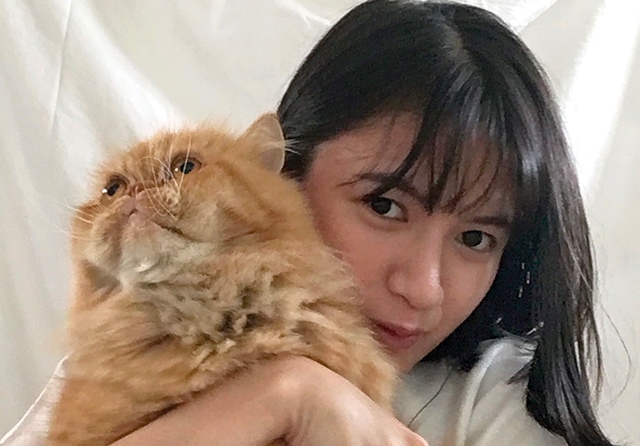 KUCING KETIGA: Vienny tidak mendukung hewan peliharaan untuk diperjualbelikan. Kucing-kucing yang dia pelihara selama ini datang ke hidupnya secara tiba-tiba dan kebetulan. (Ratu Vienny Fitrilya for Jawa Pos) - Image