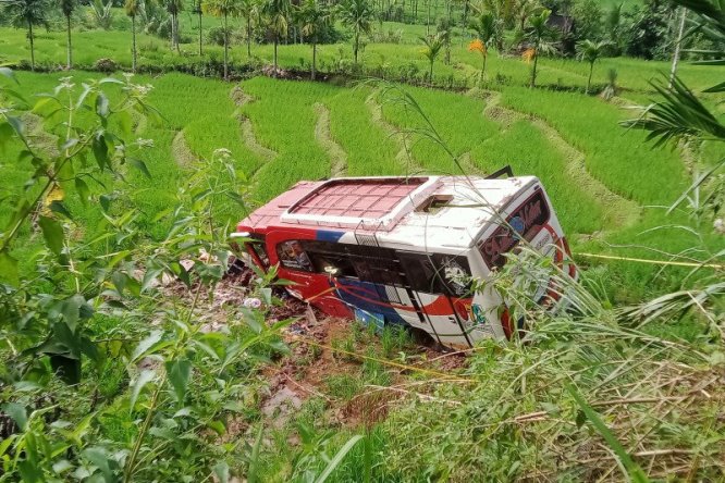 Bus Pasaman Transport Express masuk ke dalam jurang dan berhenti di sawah milik warga di Jorong Simpang Tigo, Kecamatan Simpati, Pasaman, Sumbar. Septria Rahmat/Antara - Image