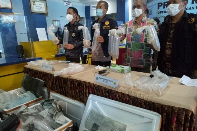 Kepala Kantor Wilayah Dirjen Bea Cukai Sumatera Bagian Timur Dwijo Muryono (dua dari kiri) mengangkat kantong berisi benih lobster yang berhasil digagalkan, Jumat (18/6). Aziz Munajar/Antara - Image
