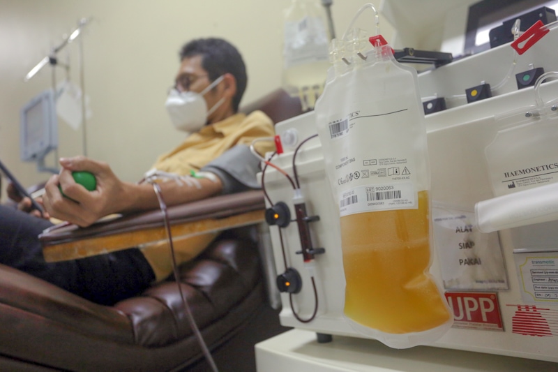 penyintas COVID-19 melakukan donor Plasma Konvalesen di Unit Donor Darah (UDD) PMI DKI Jakarta, Rabu (23/6/2021). PMI DKI Jakarta menyatakan ketersediaan Stok plasma konvalesen di DKI Jakarta kosong, sehingga PMI DKI Jakarta mengajak masyarakat penyintas - Image