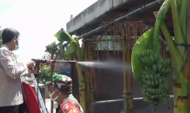 Sejumlah petugas melakukan penyemprotan disinfektan di rumah-rumah warga, Minggu (13/6). Louis Rika/Antara - Image