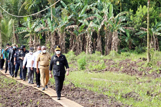 Menteri Pertanian Syahrul Yasin Limpo saat melakukan kunjungan kerja ke Provinsi Papua. - Image