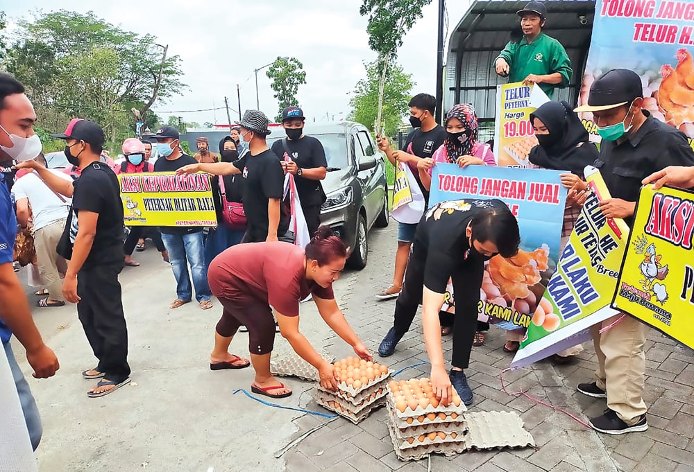 CARA SAMPAIKAN PESAN: Aksi bagi-bagi telur gratis yang dilakukan para peternak di Kabupaten Blitar, Jawa Timur, kemarin (28/9). (JAWA POS RADAR BLITAR) - Image