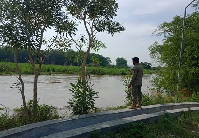 Photo - Image