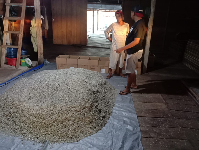 Ikan teri hasil tangkapan nelayan Buton Tengah, Sulawesi Tenggara. Lembaga Pengelola Mudal Usaha Kelautan dan Perikanan (LPMUKP) KKP melakukan pendampingan kepada nelayan untuk memanfaatkan dana pinjaman bergulir untuk meningkatkan usahanya. (KKP for Jawa - Image