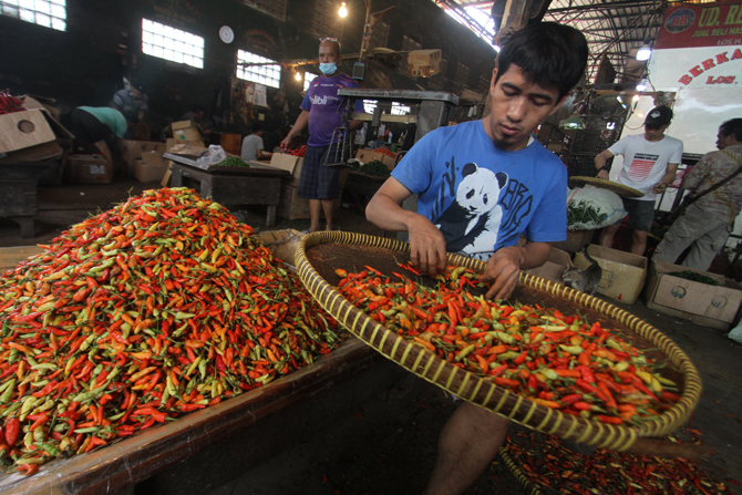 Pedagang memilah cabai rawit merah di Pasar Induk Kramat Jati, Jakarta, Rabu (22/12/2021). Harga cabai rawit di sejumlah daerah mengalami kenaikan dari Rp80.000-an per kilogram menjadi sekitar Rp100.000 per kilogram karena dipicu pasokan yang menurun akib - Image