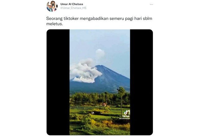 Photo - Image