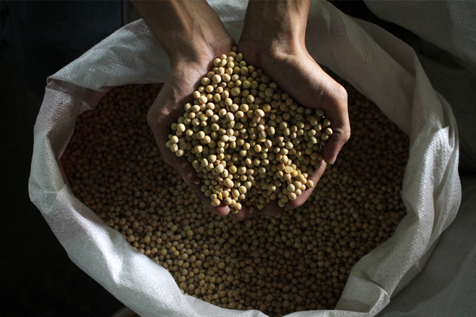 Pedagang saat menimbang kacang kedelai di Toko Grosir Kawasan Duren Tigak, Jakarta, Rabu (16/2/2022). Gabungan Koperasi Produsen Tempe Tahu (Gakoptindo) mencatat harga kedelai di tingkat pengrajin naik di kisaran Rp10.800 hingga Rp11.000. Sementara, harga - Image