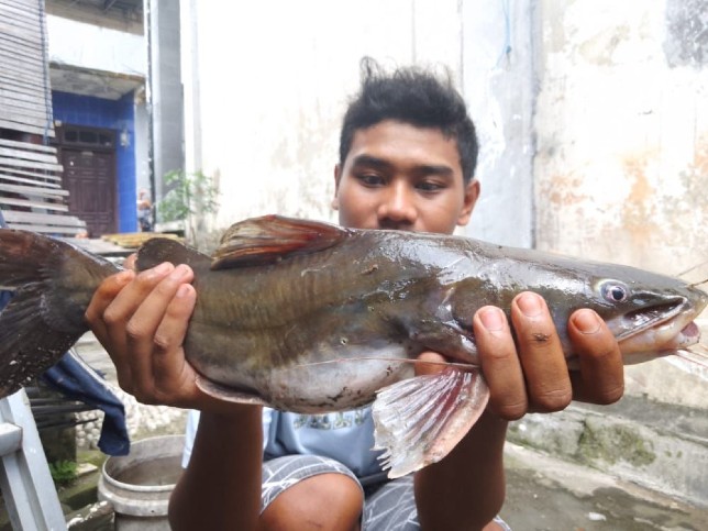 Seorang warga membawa ikan. Dok. JawaPos - Image