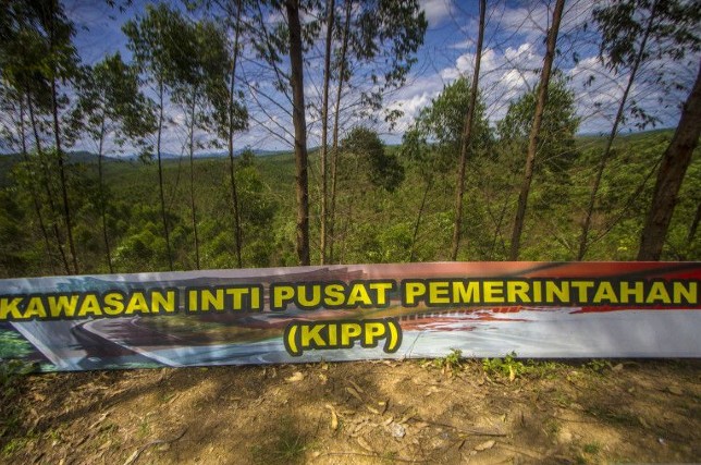 Kawasan Inti Pusat Pemerintahan (KIPP) Ibu Kota Negara (IKN) Nusantara di Kecamatan Sepaku, Kabupaten Penajam Paser Utara, Kalimantan Timur. Bayu Pratama S./Antara - Image