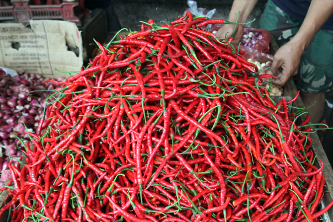 Cabai merah di pasar Kramatjati, Jakarta, Rabu, (13/7/2022). Harga cabai merah keriting tembus ke atas Rp 140.000 per kilogram (kg), sementara cabai rawit merah melesat ke Rp 120.000 per kg di pasar Tradisional Jakarta. Foto: Dery Ridwansah/ JawaPos.com - Image