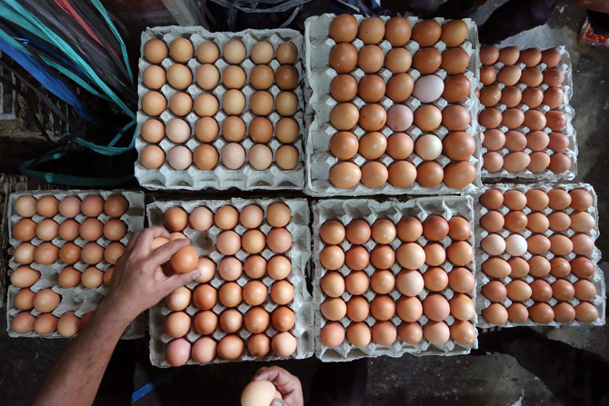 Pedagang merapikan telur ayam di kios miliknya di kawasan Pejaten, Jakarta, Rabu (13/7/2022). (FOTO: SALMAN TOYIBI/JAWA POS) - Image
