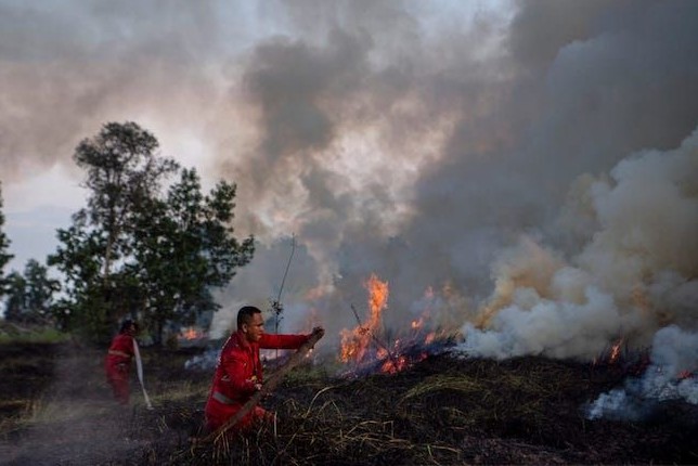 Petugas Manggala Agni Daops Banyuasin berusaha memadamkan Kebakaran Lahan di Desa Sukarame, Pemulutan Barat, Ogan Ilir (OI), Sumatera Selatan. Nova Wahyudi/Antara - Image