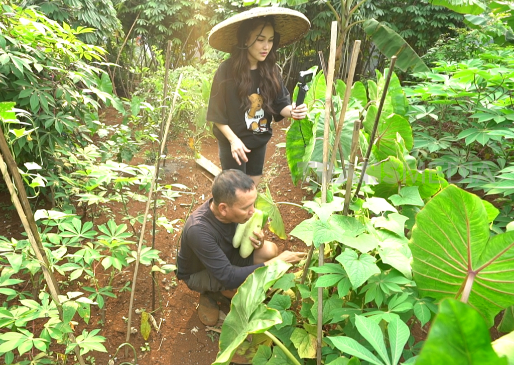 Photo - Image