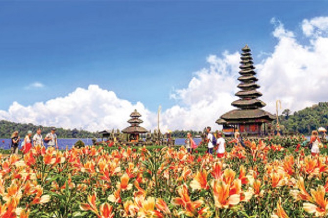 Photo - Image