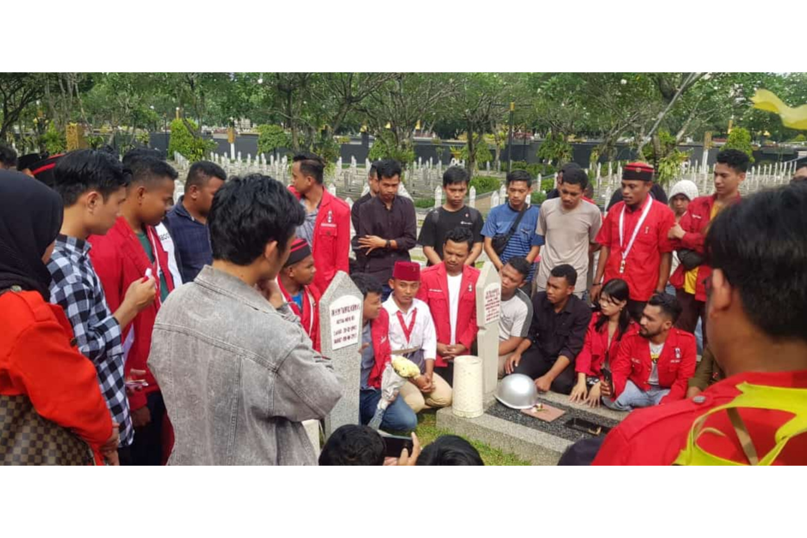 Photo - Image