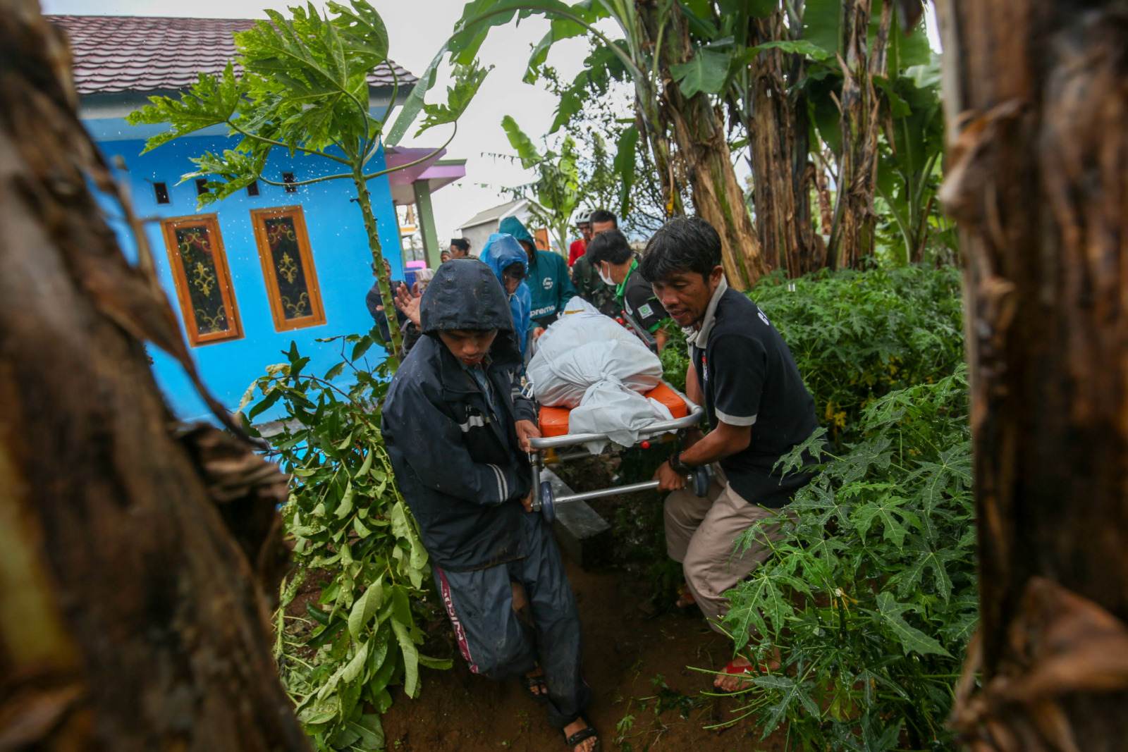 Kerabat dan keluarga membawa jenazah korban gempa bumi saat akan dimakamkan di Desa Sukamulya, Cugenang, Kabupaten Bogor, Jawa Barat, Rabu (23/11/2022). Badan Nasional Penanggulangan Bencana (BNPB) mencatat pada pukul 17.00 WIB korban meninggal dunia imba - Image