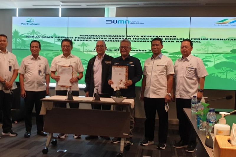 penandatanganan MOU antara Holding Perkebunan dengan Perhutani. (ANTARA/HO-Sinergi Gula Nusantara) - Image