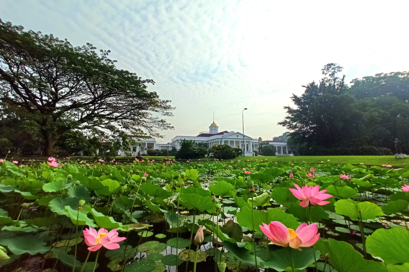 kebun Raya Bogor menjadi salah satu destinasi wisata favorit di Kota Bogor untuk dikunjungi di akhir pekan. (Bayu Putra/JawaPos.com)