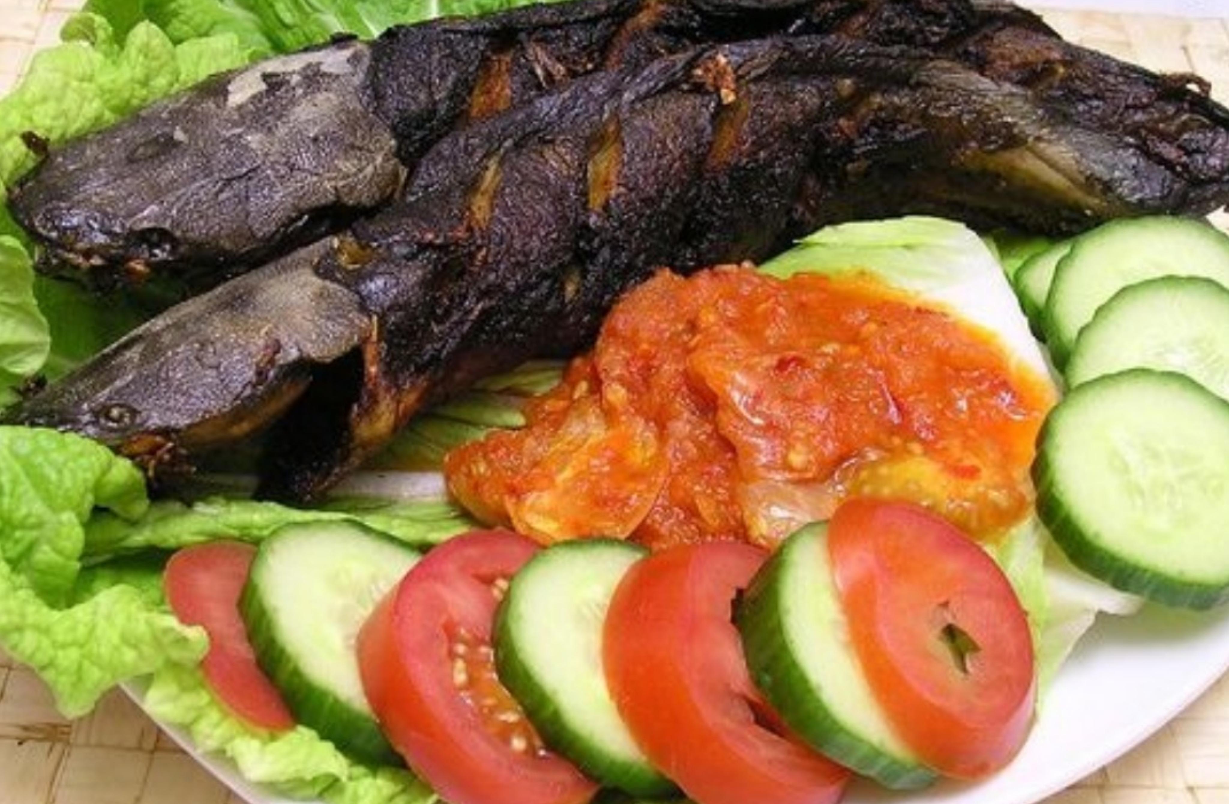 Ilustrasi pecel lele bakar. (Pinterest)