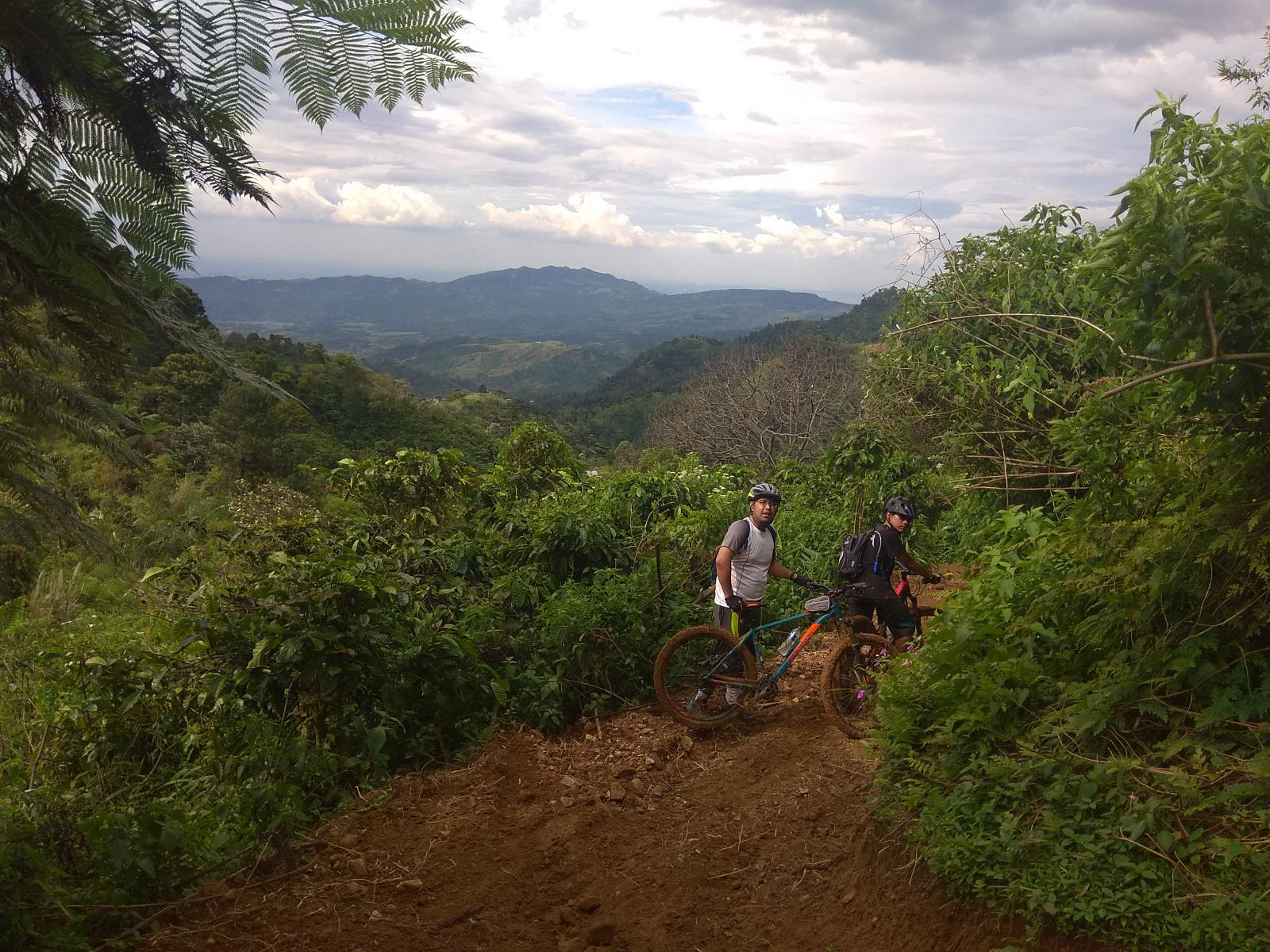 Jalur Sepeda Gunung Pancar. (wikiloc.com)