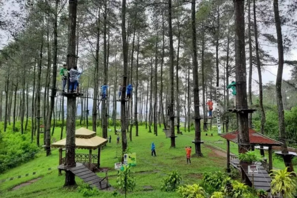 Gunung Pancar di kawasan Sentul, Kabupaten Bogor. (dejava.net)