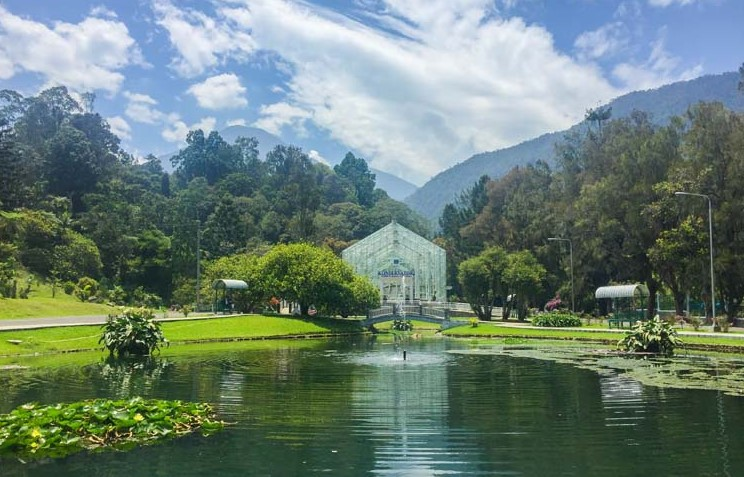 pemandangan kebun raya Cibodas di Cianjur. (pinhome.id)