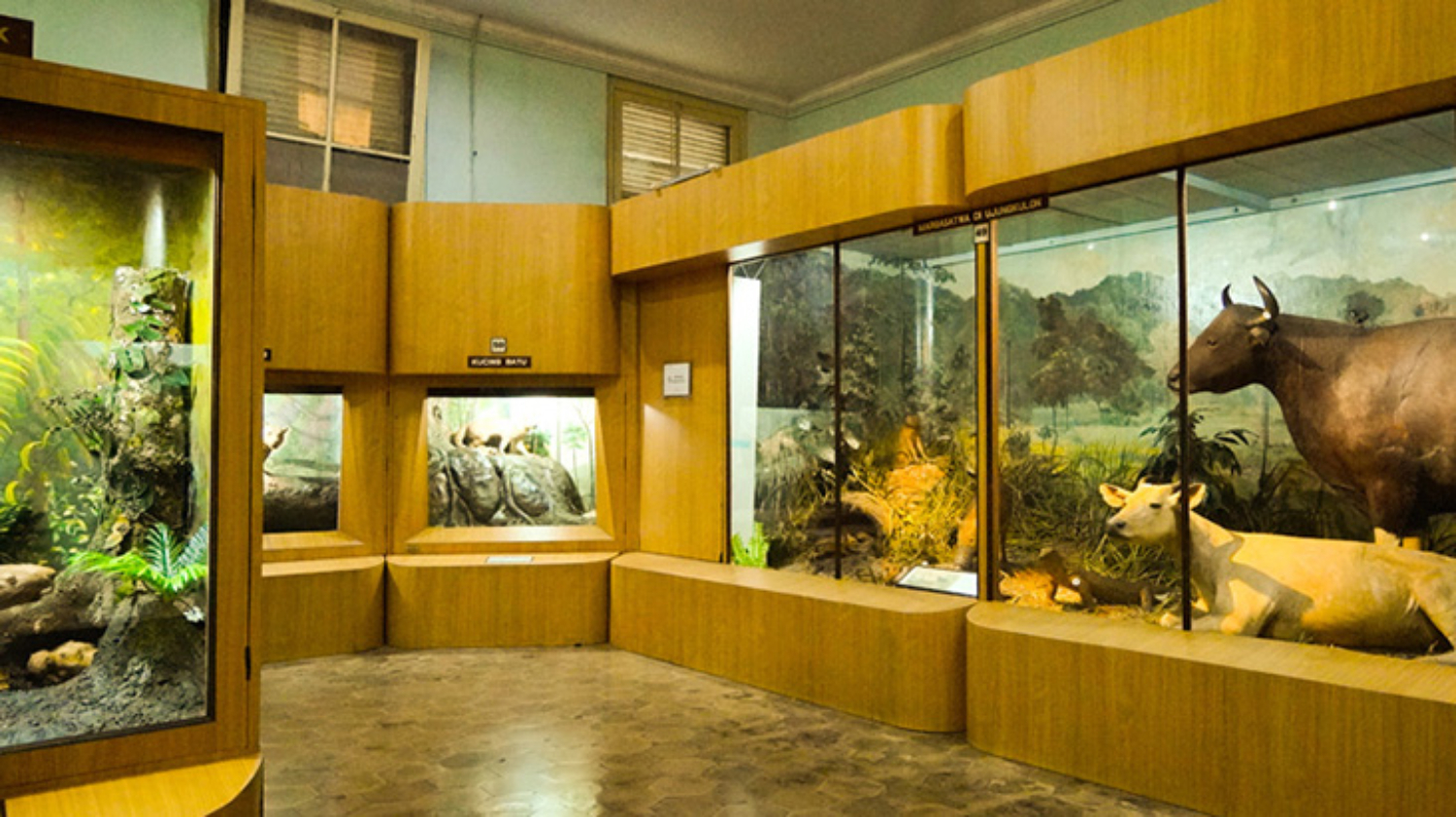 Penampakan salah satu ruang pamer Museum Zoologi Bogor. (kebunraya.id)