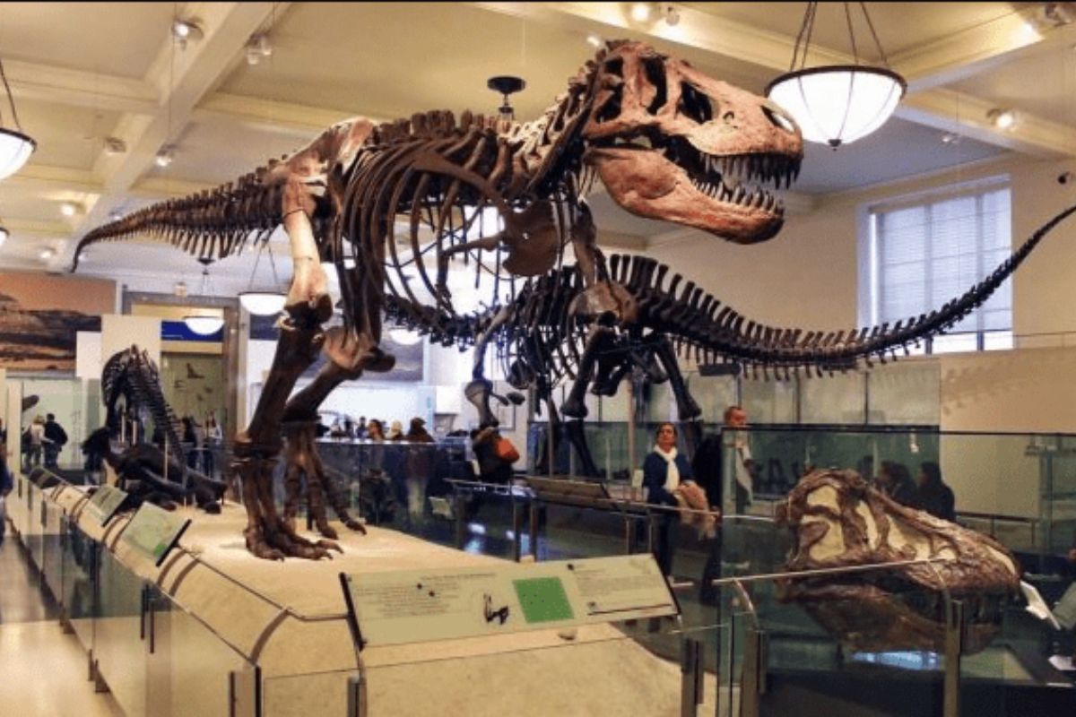 Museum Zoologi di kawasan Kebun Raya Bogor di Kota Bogor. (setapaklangkah.com)