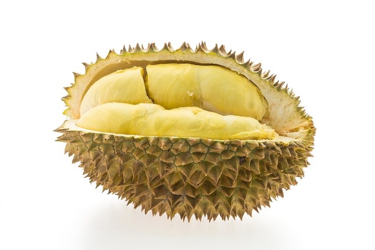 Ilustrasi buah durian