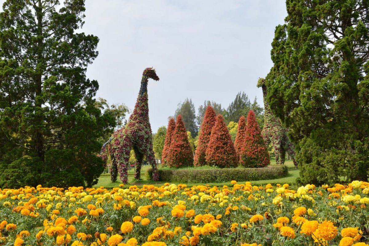 Taman Bunga Nusantara di Kawasan Puncak Bogor. (dakatour.com)