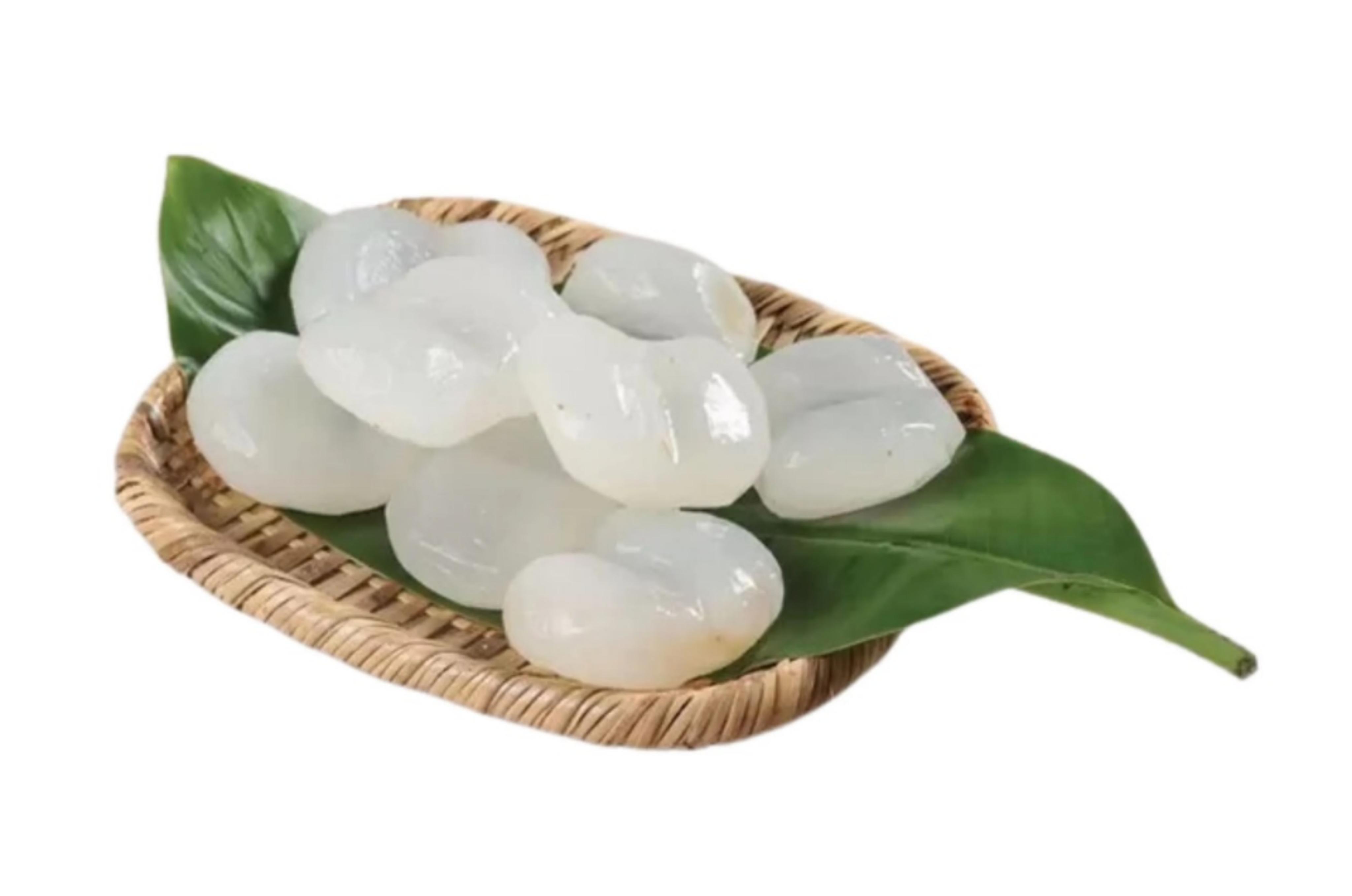 Ilustrasi buah lontar