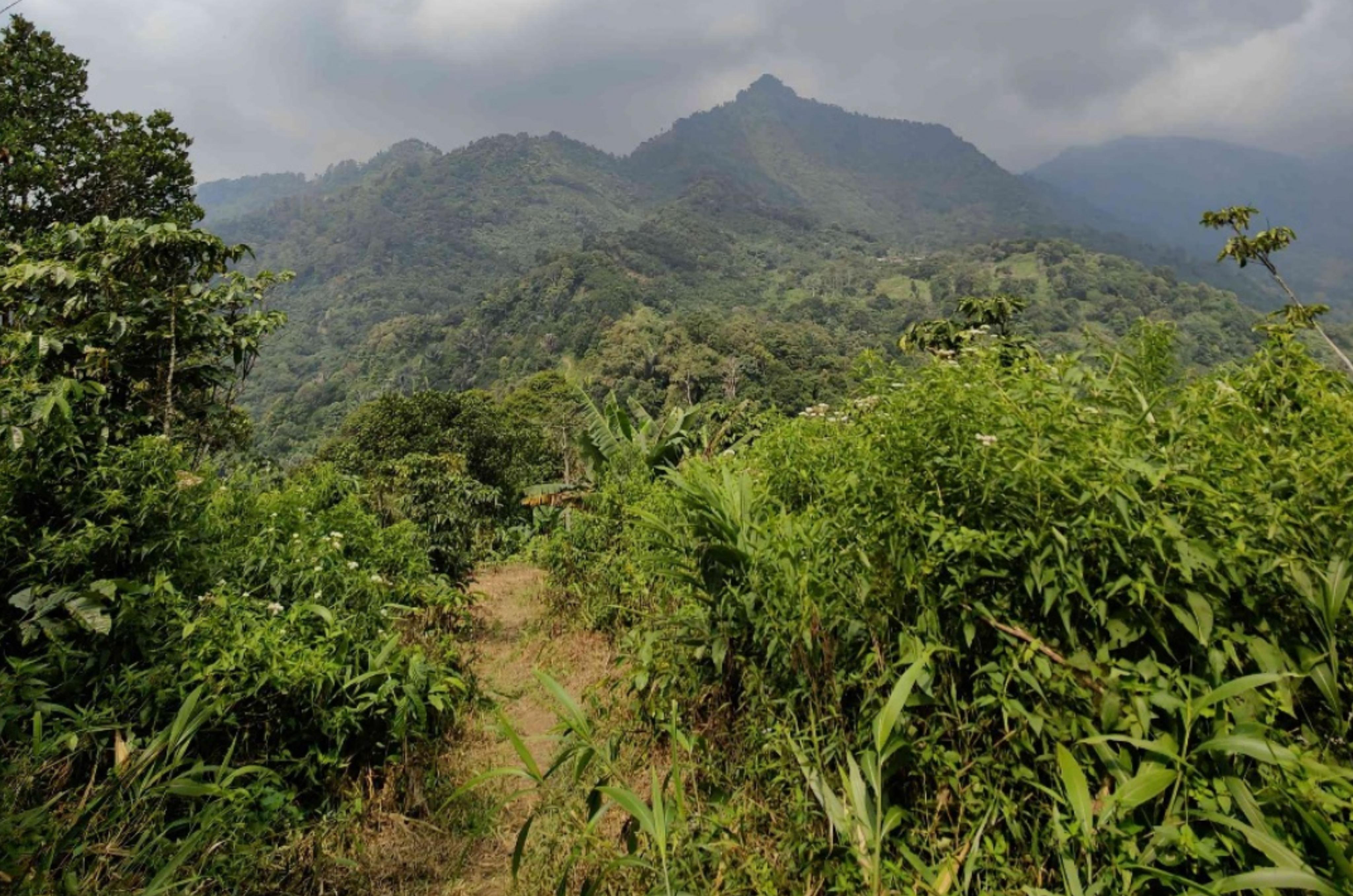Gunung Butik di Kabupaten Bogor