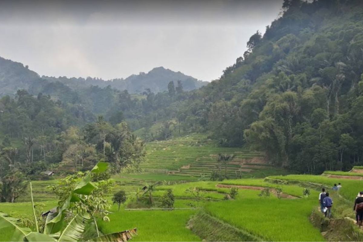 Desa Ciburayut, Kecamatan Cigombong, Kabupaten Bogor, Jawa Barat