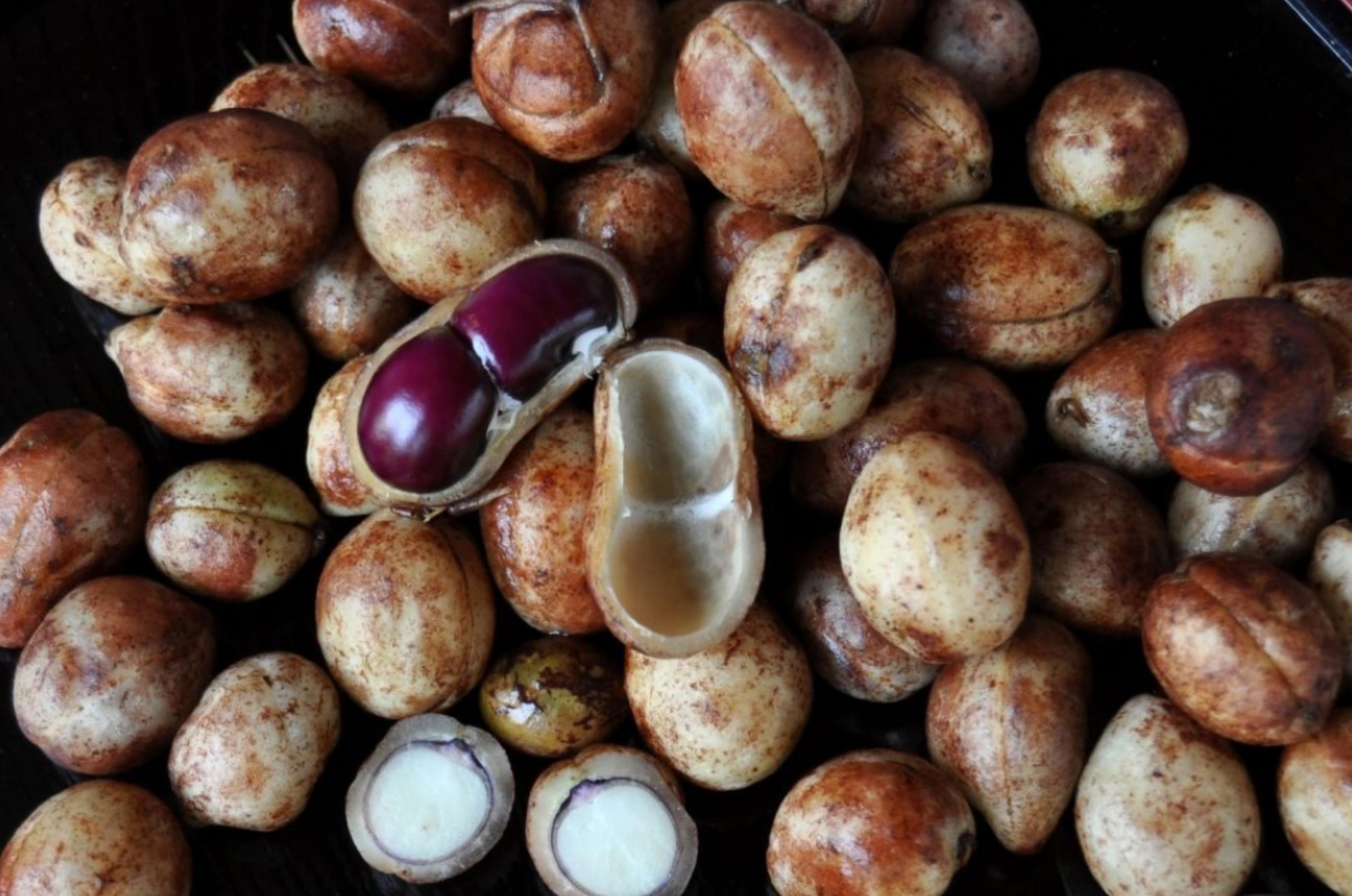 Kacang Bogor atau Bambara Groundnut