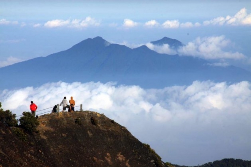 Rekomendasi gunung yang cocok bagi pemula di kawasan Bogor