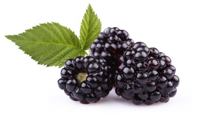 Buah blackberry